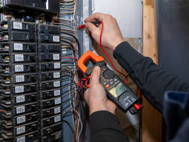 Best Electrician for Home Renovation  in San Antonio, FL